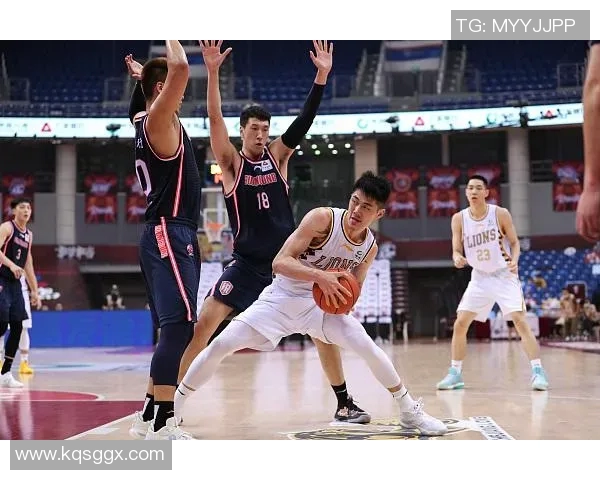 刘铮的传奇人生与篮球梦想如何在风雨中绽放光彩