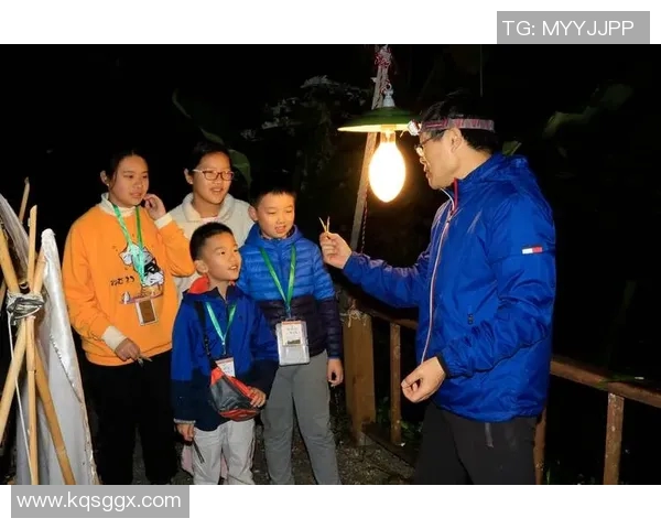 张宁的奋斗历程与成就探索:从平凡到卓越的成长之路